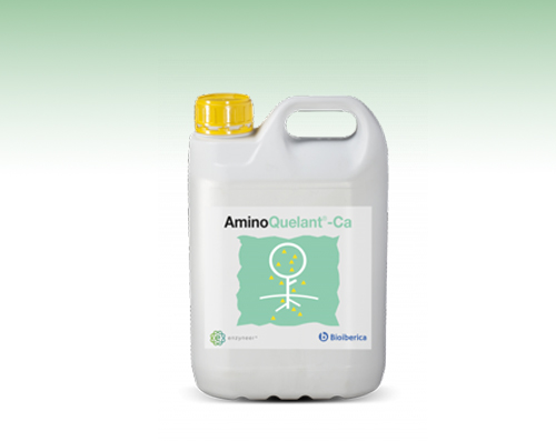 AminoQuelant-Calcio