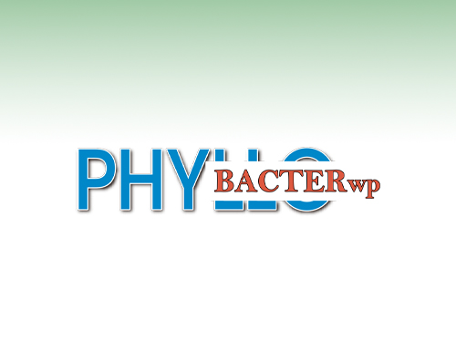 Phyllo Bacter