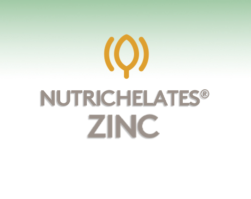 Nutrichelates Zinc