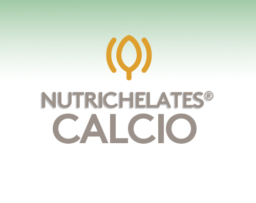 Nutrichelates Calcio