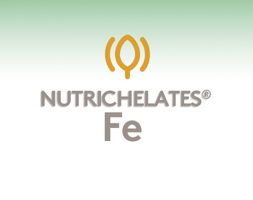 Nutrichelates Fierro