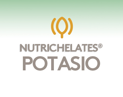 Nutrichelates Potasio