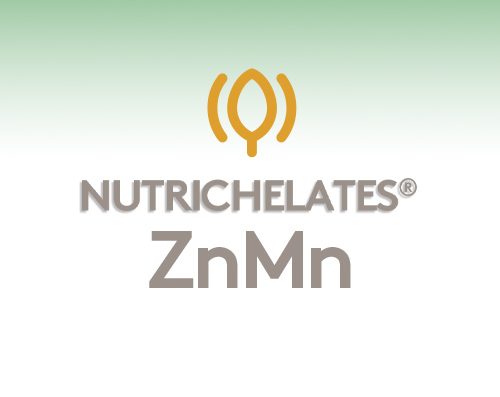 Nutrichelates ZN Mn