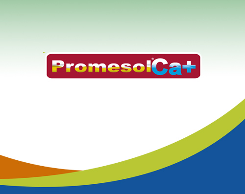 Promesol Ca+
